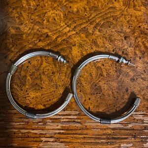 Elegant Silver and Gold Hoop Earrings